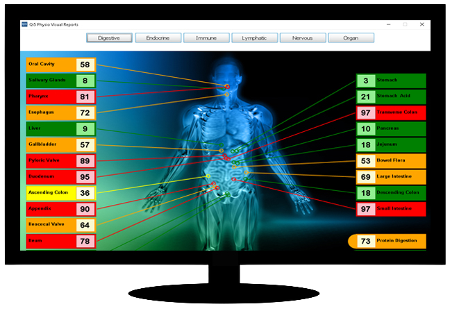Qi-5 Scan & Balance results screen in tv